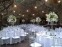 Designer Decor Rental Wedding Decor 1