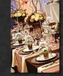 Weddings Designer Decor Rental 6