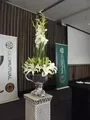 Old Mutual Corpotare Function Designer Decor Rental Port Elizabeth 2